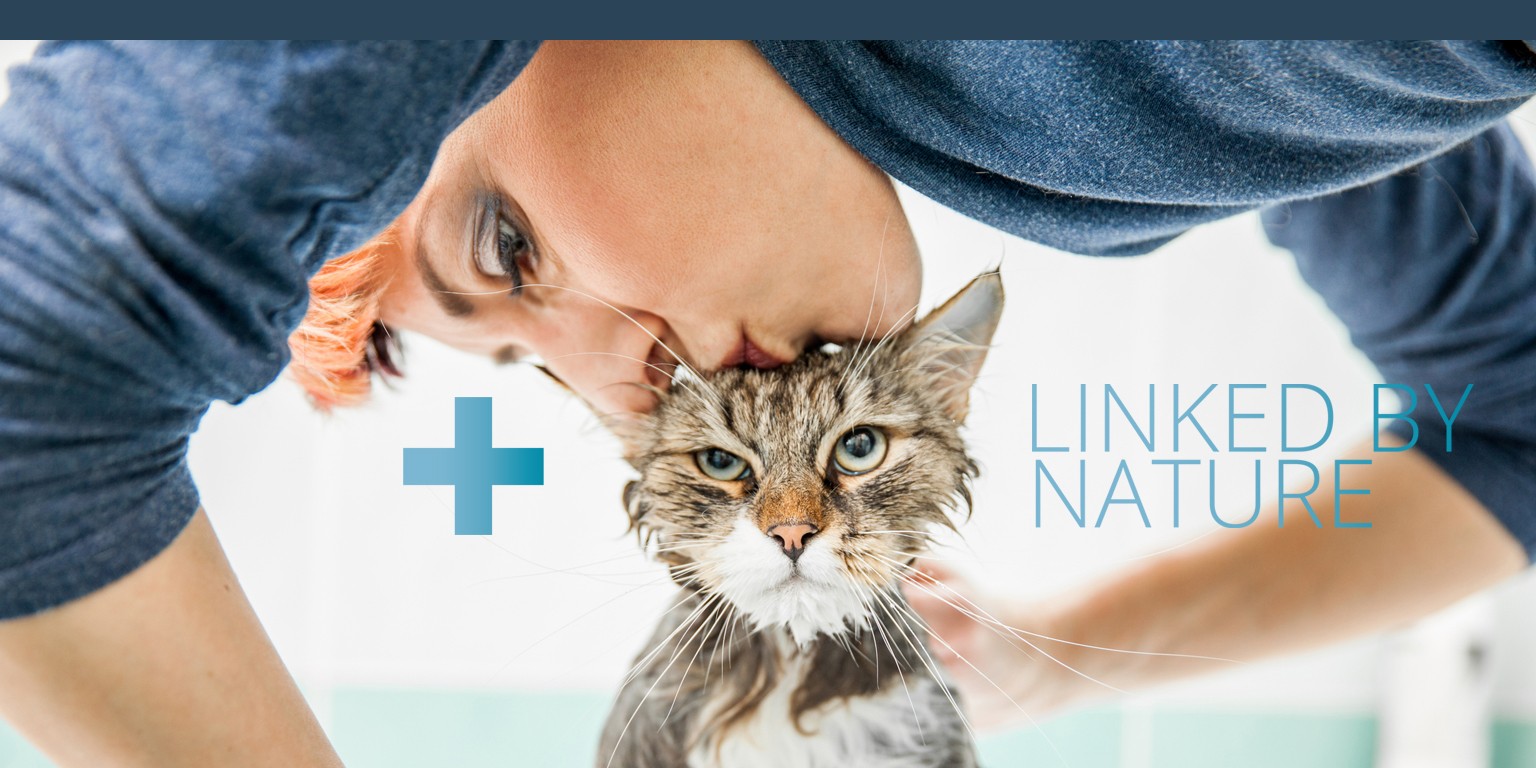 Teaserbild Dômes Pharma